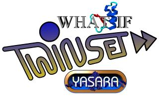 The WHAT IF / YASARA Twinset